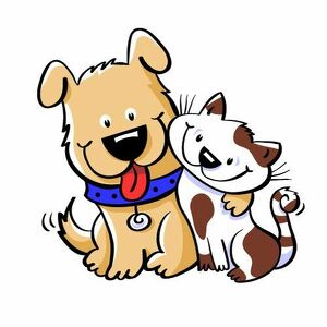 Fundraising Page: DEBRA HENRY